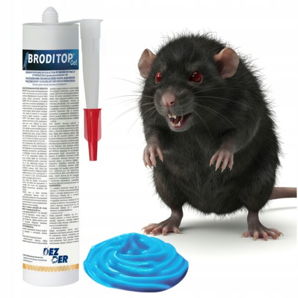 88d5e1b3ff8b22666d83b1989a1fafda