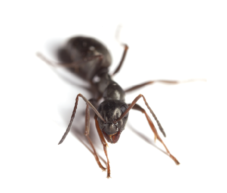 bdf93113fc9202e57e2d3626d7dea82f