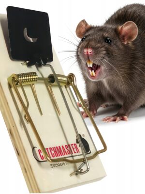 686d2284d4259ce475b4e8957c4613e1